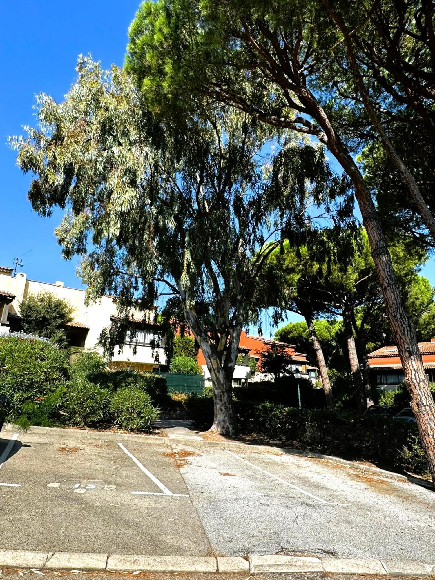 Frejus - Appartement 4 Personnes - Piscine Bagian luar foto